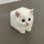 CATBOX Icon