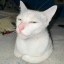 rizzmew Icon