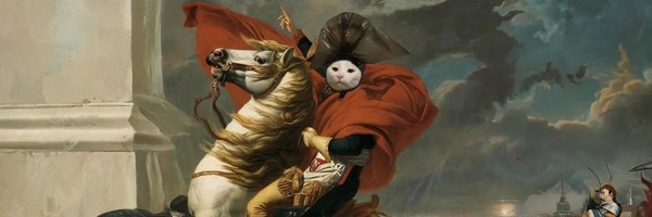The Cat General Token Header