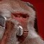 Monke Phone Icon