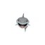 SHARK GUY Icon