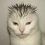 sigmew Icon