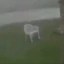 alpha chair Icon