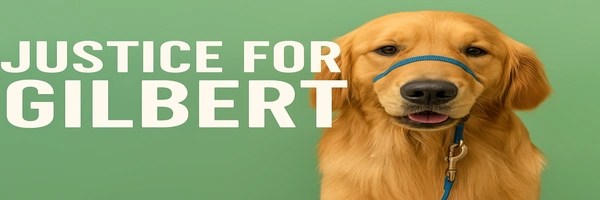 JUSTICE FOR GILBERT Token Header
