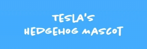 HahaYes Token Header