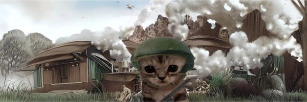 Cat Wars Token Header