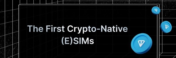 Depinsim Token Header