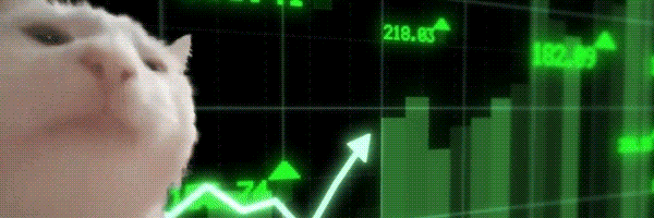 Vibing Cat Token Header