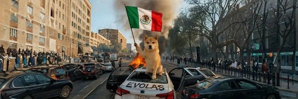 dogwifriot Token Header