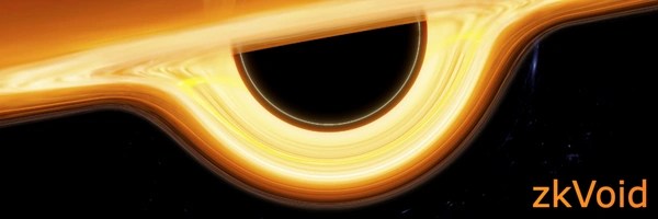 zkVoid Token Header