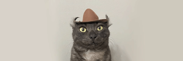 meowdy Token Header
